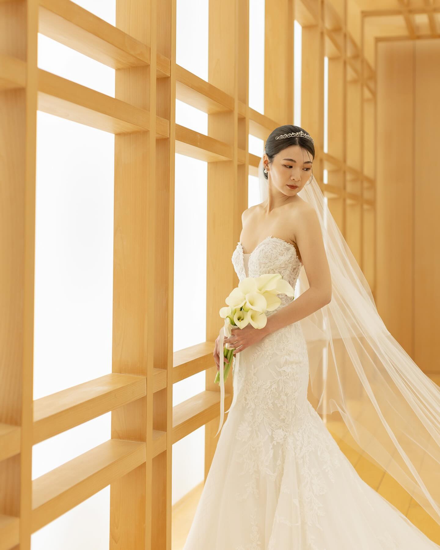 公式】PRONOVIAS「プロノビアス」｜東京青山のウエディングドレス